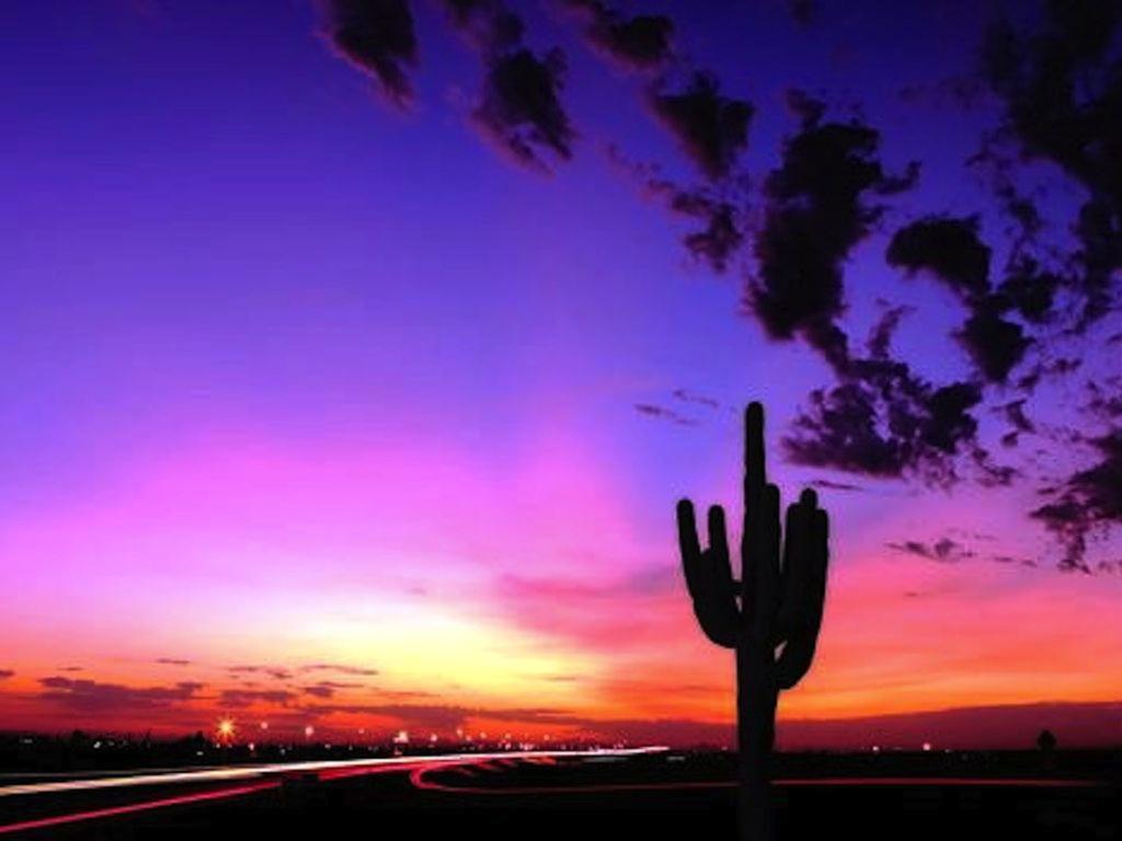 Private Community Surrounded By Mountains W/3 Pool-spa Complexes, Heated & Open 24/7/365! Phoenix